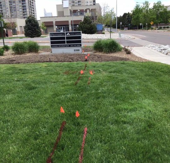 A grassy field with several orange cones placed around and a sign providing instructions or warnings