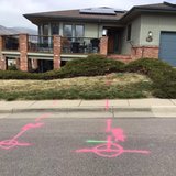 A residential house featuring a pink line on the ground, possibly marking a designated area or route